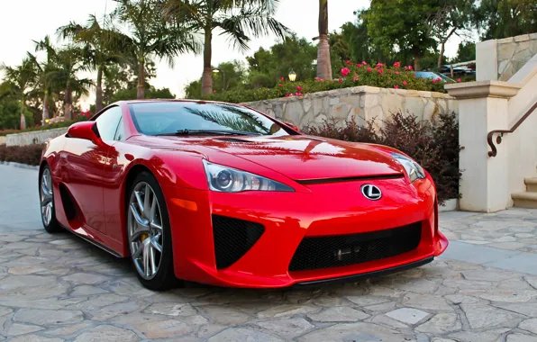 Lexus, red, lfa