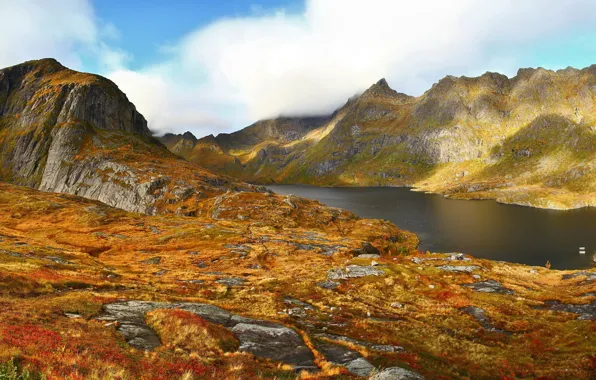 Картинка гора, Agvatnet, озеро, Норвегия, трава, осень