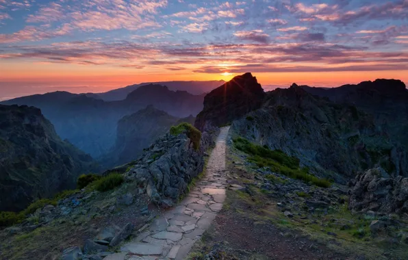 Nature, track, Scenic, walking, outdoors