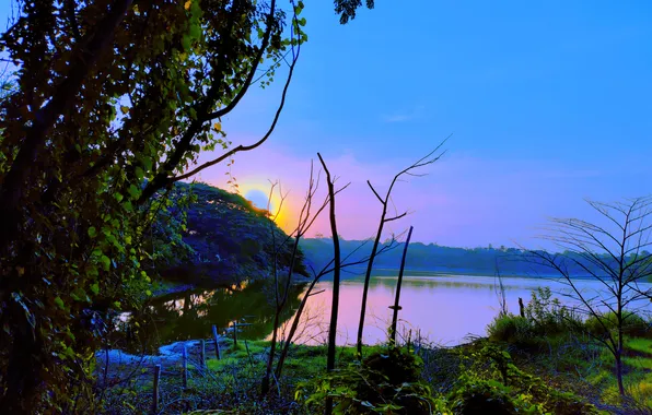Sun, Water, Sunrise, Dawn, Morning, Lake, Trees, Reflection