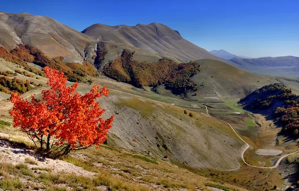 Картинка дорога, осень, горы, дерево, склон