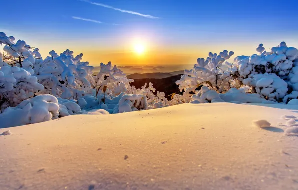 Картинка зима, небо, солнце, снег, деревья, пейзаж, горы, природа