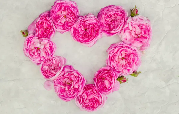 Любовь, цветы, сердце, розы, лепестки, love, розовые, heart