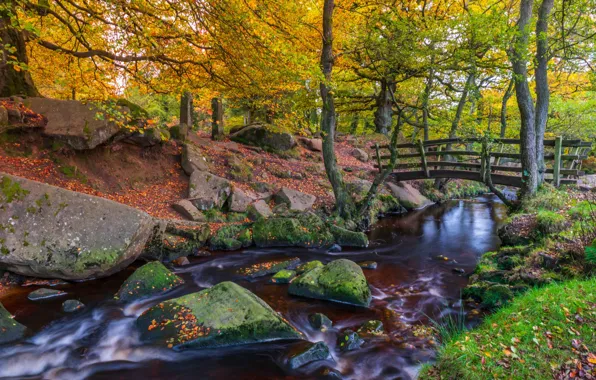 Картинка осень, лес, деревья, пейзаж, природа, парк, камни, речка