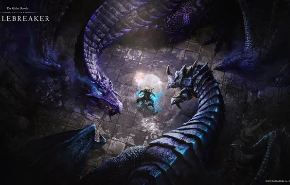 Драконы, The Elder Scrolls Online, Dragons, tes online, breton, Бретон, THE ELDER SCROLLS ONLINE: SCALEBREAKER