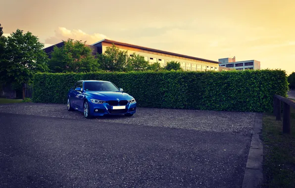 Картинка BMW, Синяя, БМВ, Tuning, F30, BBS, 330d