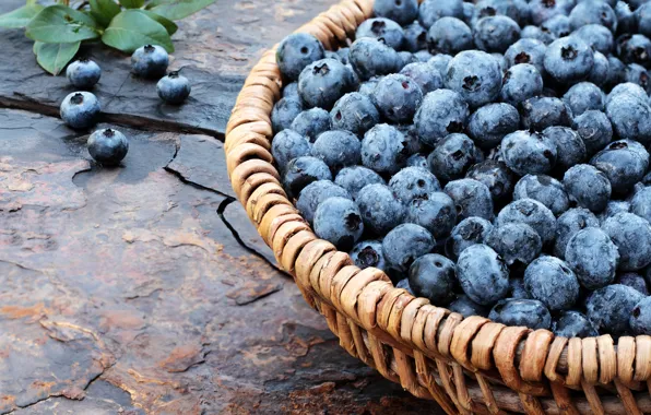 Ягоды, черника, корзинка, fresh, wood, blueberry, голубика, berries