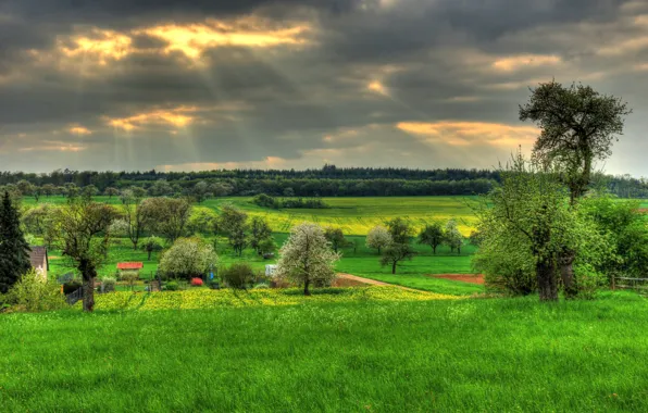 Картинка небо, трава, природа, поля, Германия, Hungen, Hessen