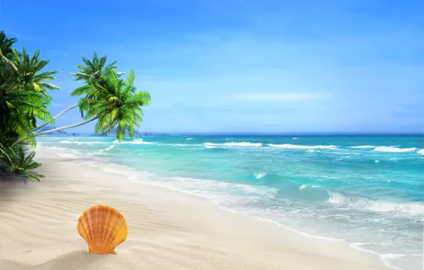 Картинка sea, sand, seashell, palms, tropical beach