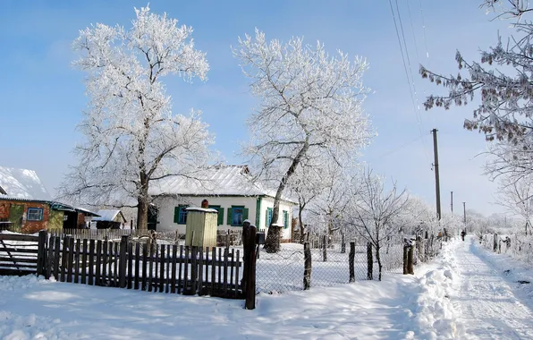Дорога, снег, деревья, дом, Зима, ворота