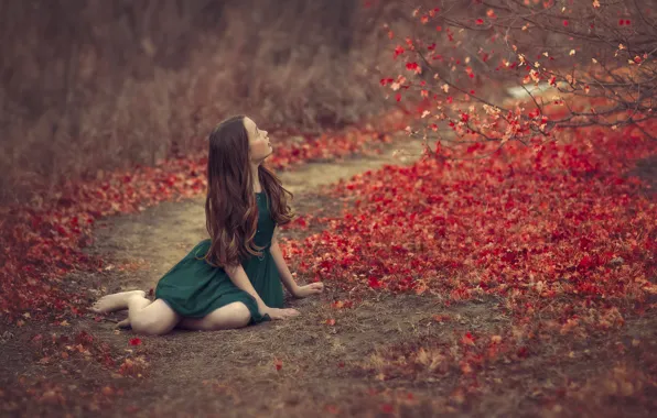 Картинка осень, листья, девочка, боке, зелёное платье