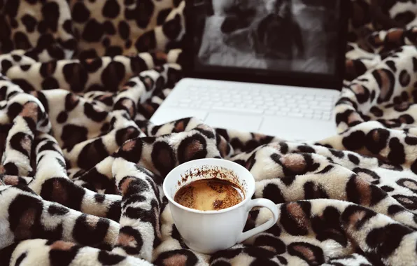 Лист, фильм, кровать, кофе, чашка, MacBook