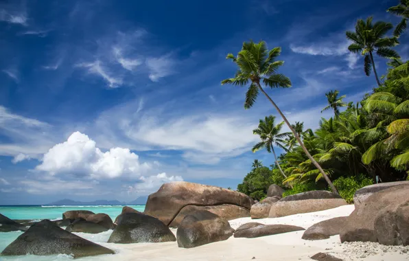 Картинка пляж, тропики, камни, пальмы, океан, побережье, Сейшельские Острова