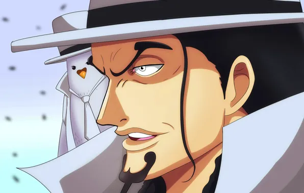 Пират, One Piece, ван пис