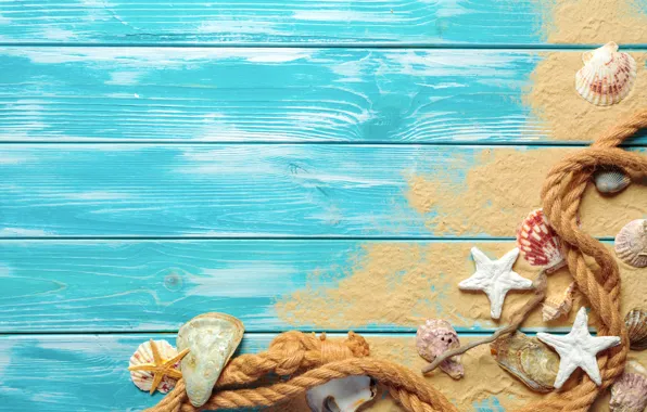 Картинка песок, пляж, ракушки, beach, wood, sand, marine, still life