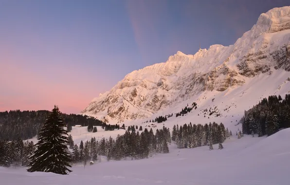 Картинка зима, снег, горы, Швейцария, ели, Альпы, Switzerland, Alps