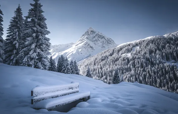 Картинка зима, лес, снег, деревья, горы, скамейка, Австрия, ели
