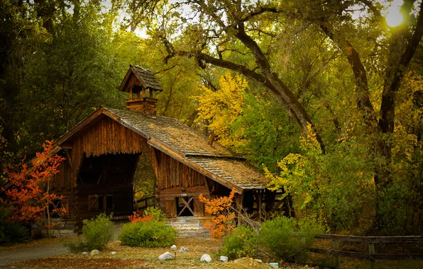 Картинка осень, лес, деревья, мост, природа, сооружение, сарай