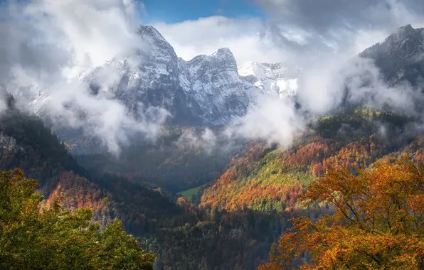 Осень, лес, солнце, облака, деревья, горы, Швейцария, Альпы