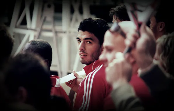Football, goal, liverpool, player, suarez, Luis suarez