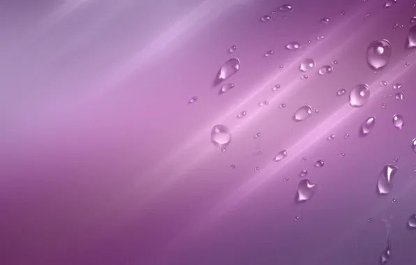 Капли, макро, фиолетовый фон