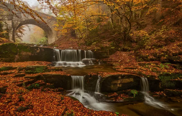 Картинка waterfall, reddish colors, leaves, forest, autumn