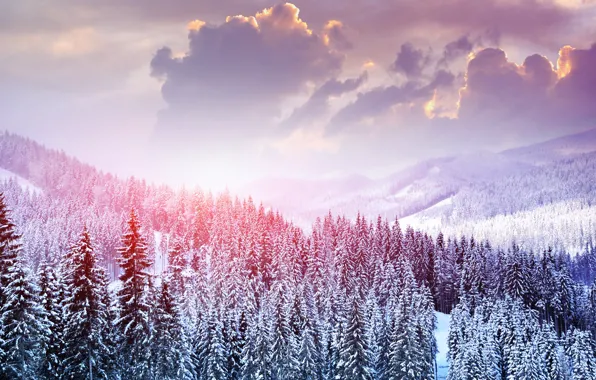 Зима, лес, небо, облака, снег, деревья, пейзаж, горы