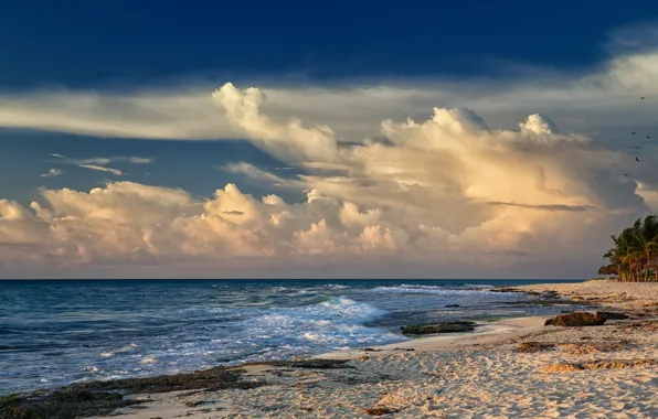 Картинка песок, море, волны, пляж, облака, пальмы, ветер