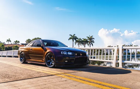 Обои GT-R, Black, Skyline, Rear view, R34 картинки на рабочий стол ...
