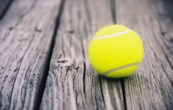 Wallpaper, sport, tennis, ball