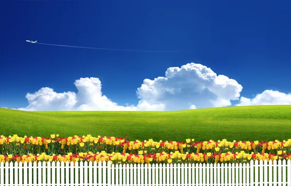 Картинка небо, трава, облака, цветы, природа, самолет, забор, луг
