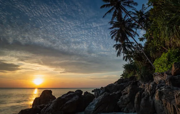 Картинка море, закат, пальмы, побережье, Thailand, Andaman Sea, Андаманское море, Таланд
