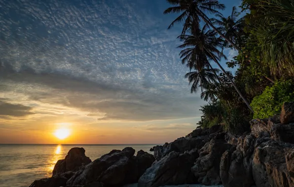 Море, закат, пальмы, побережье, Thailand, Andaman Sea, Андаманское море, Таланд