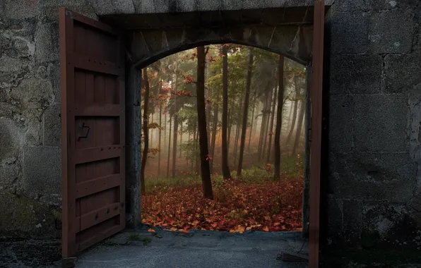 Осень, лес, деревья, природа, стена, ворота, двери, wall