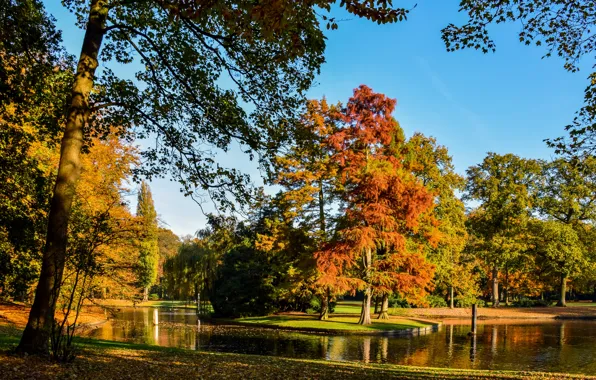 Осень, листья, деревья, пруд, парк, Нидерланды, Vught, Reeburgpark
