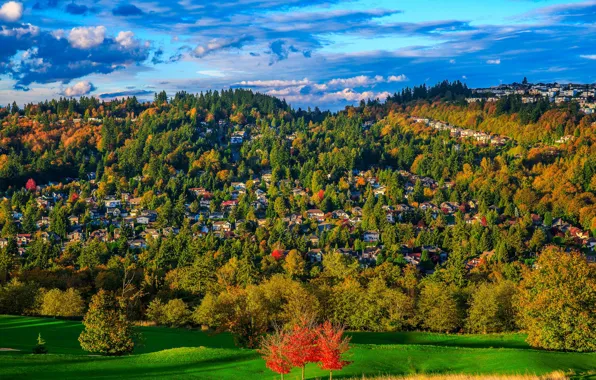 Картинка осень, деревья, холмы, дома, США, штат Вашингтон
