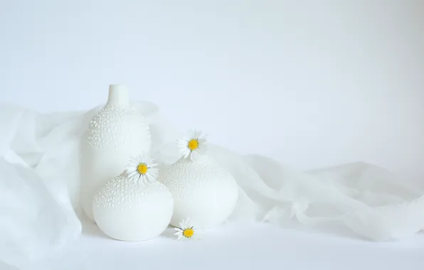 Картинка цветы, фон, ромашки