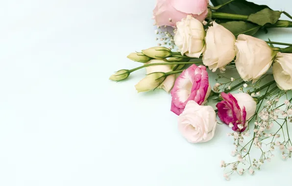 Картинка цветы, розы, букет, pink, flowers, roses, эустома, eustoma