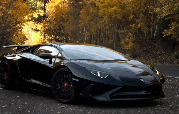 Картинка auto, lamborghini, supercar