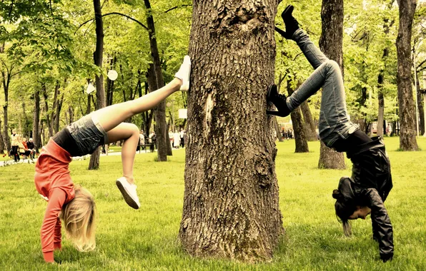 Парк, дерево, девуши
