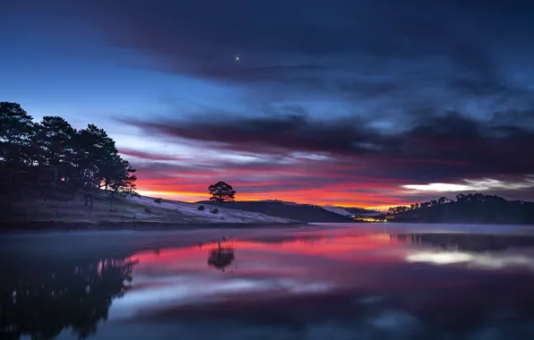 Картинка river, landscape, nature, sunset, tree, evening