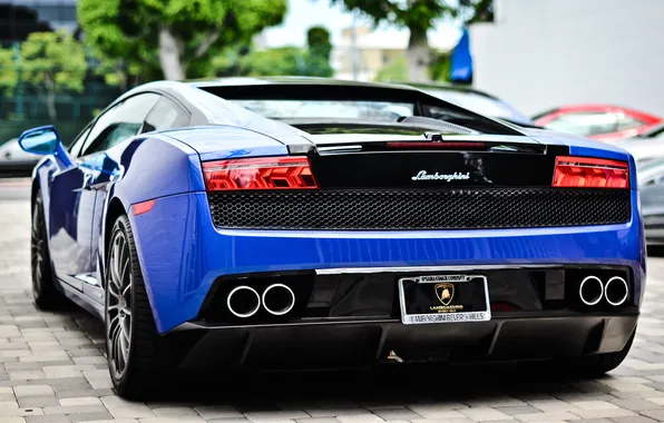 Lamborghini, ламбо, ламборджини, LP560, ламборгини, Lamborghini Gallardo LP560-4