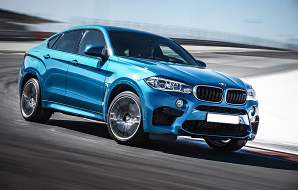 BMW, cyan, кроссовер, x6 m