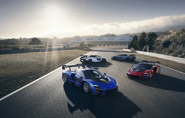 McLaren, суперкары, 2018, Senna, Victory Grey, Delta Red, Pure White, Kyanos Blue