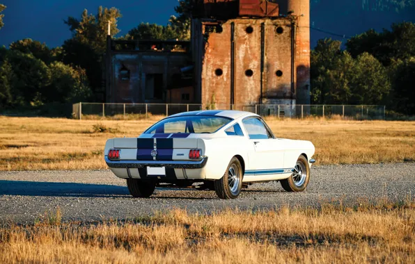 Картинка Mustang, Ford, Ford Mustang Shelby GT350, rear view, blue stripes