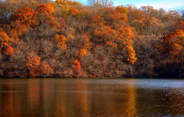 Картинка осень, лес, небо, деревья, озеро, склон