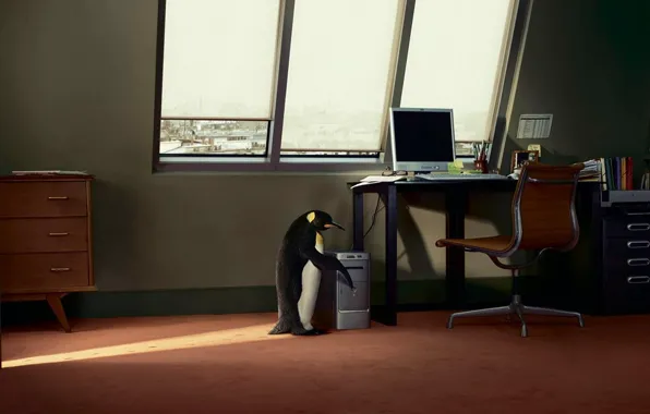 Компьютер, стол, окно, пингвин