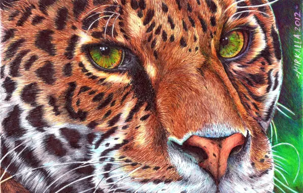 Картинка усы, взгляд, морда, животное, хищник, леопард, живопись, зеленые глаза