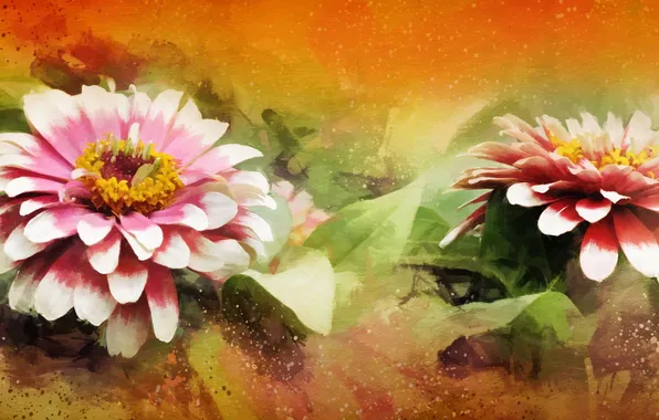 Цветы, природа, фон