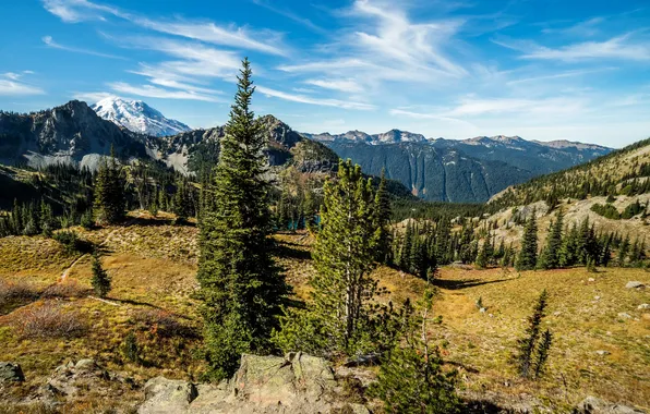 Лес, деревья, горы, озеро, камни, США, Rocky Mountain National Park
